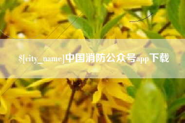 嵊州中国消防公众号app下载