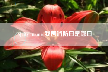 嵊州我国消防日是哪日
