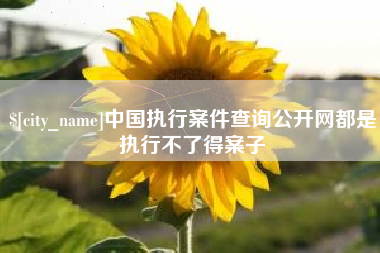 嵊州中国执行案件查询公开网都是执行不了得案子