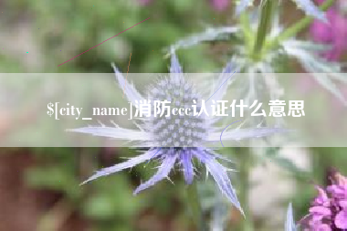 嵊州消防ccc认证什么意思