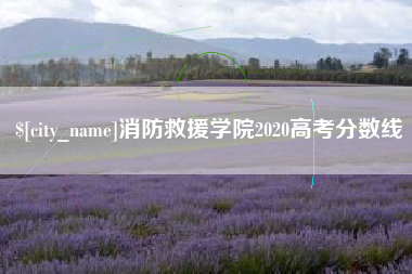 嵊州消防救援学院2020高考分数线