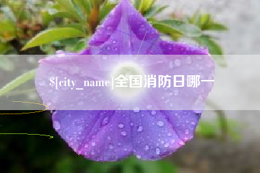 嵊州全国消防日哪一