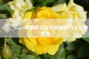 嵊州中国执行公开网被执行人名单查询