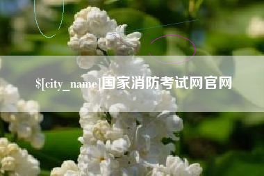 嵊州国家消防考试网官网