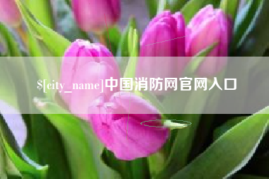 嵊州中国消防网官网入口