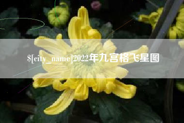 嵊州2022年九宫格飞星图