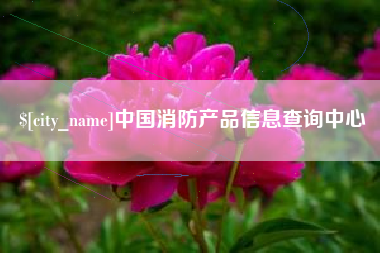 嵊州中国消防产品信息查询中心