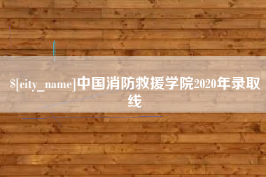嵊州中国消防救援学院2020年录取线