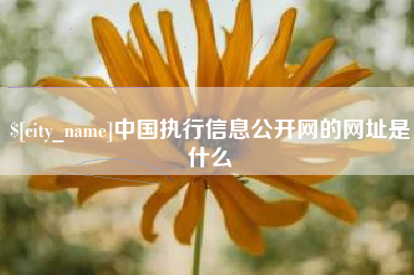 嵊州中国执行信息公开网的网址是什么