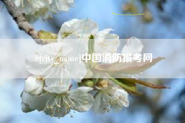 嵊州中国消防报考网