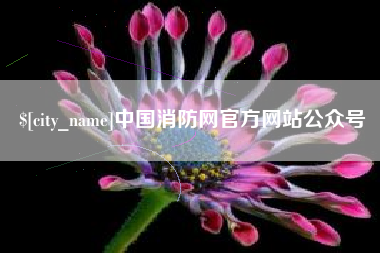 嵊州中国消防网官方网站公众号