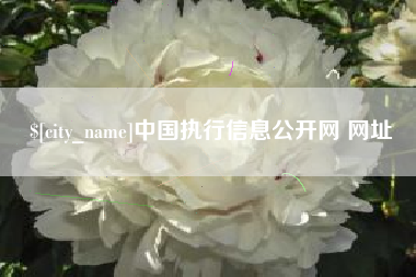 嵊州中国执行信息公开网 网址