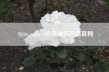 嵊州中国消防产品官网