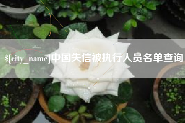 嵊州中国失信被执行人员名单查询