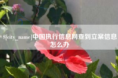 嵊州中国执行信息网查到立案信息怎么办