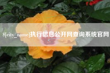 嵊州执行信息公开网查询系统官网