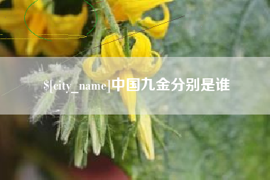 嵊州中国九金分别是谁