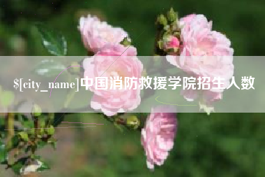 嵊州中国消防救援学院招生人数