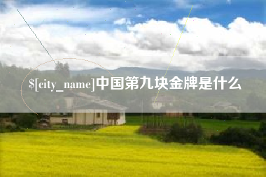 嵊州中国第九块金牌是什么