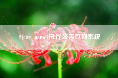 嵊州执行公告查询系统