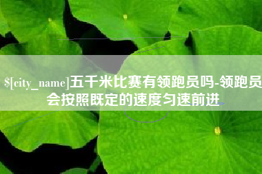嵊州五千米比赛有领跑员吗-领跑员会按照既定的速度匀速前进