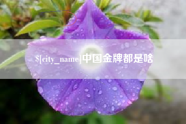 嵊州中国金牌都是啥