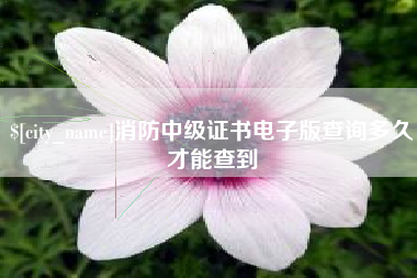嵊州消防中级证书电子版查询多久才能查到