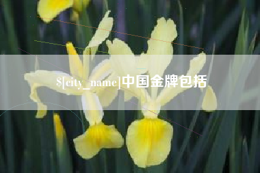 嵊州中国金牌包括