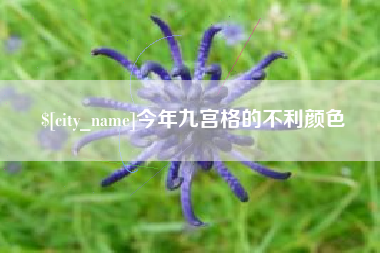 嵊州今年九宫格的不利颜色