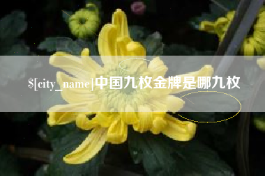 嵊州中国九枚金牌是哪九枚