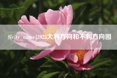 嵊州2025大利方向和不利方向图
