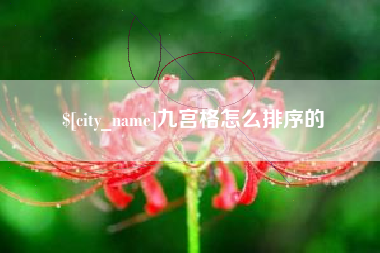 嵊州九宫格怎么排序的