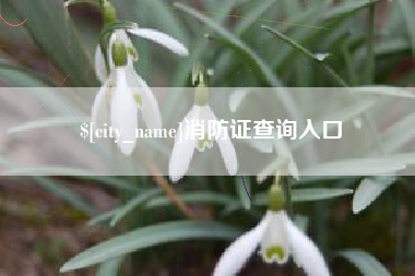 嵊州消防证查询入口