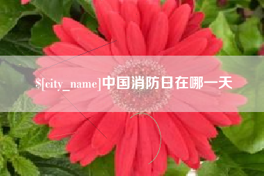 嵊州中国消防日在哪一天