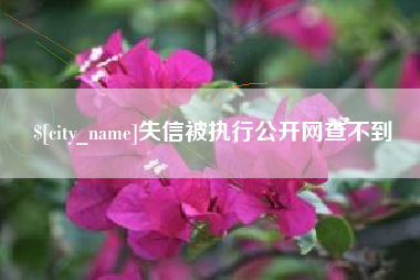 嵊州失信被执行公开网查不到