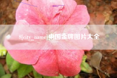 嵊州中国金牌图片大全