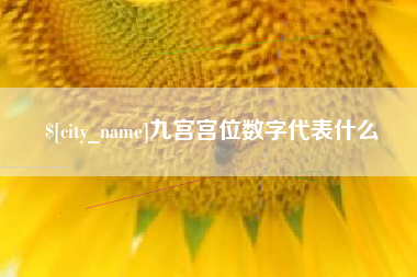 嵊州九宫宫位数字代表什么