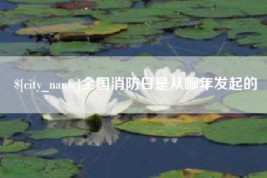 嵊州全国消防日是从哪年发起的