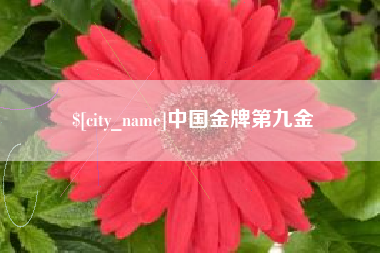 嵊州中国金牌第九金