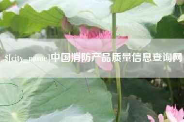 嵊州中国消防产品质量信息查询网