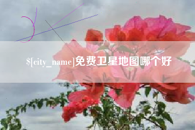 嵊州免费卫星地图哪个好