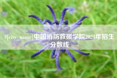 嵊州中国消防救援学院2024年招生分数线