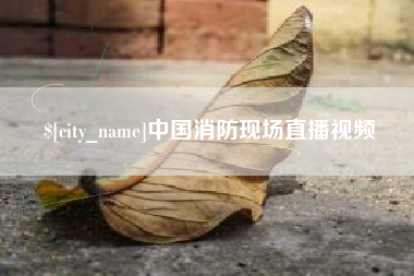 嵊州中国消防现场直播视频