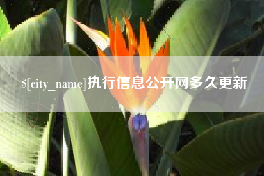 嵊州执行信息公开网多久更新