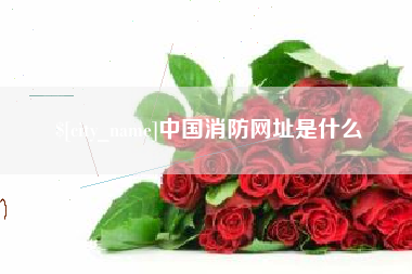 嵊州中国消防网址是什么