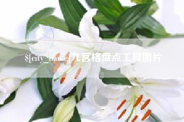 嵊州九宫格盘点工具图片