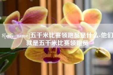 嵊州五千米比赛领跑员是什么-他们就是五千米比赛领跑员
