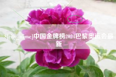 嵊州中国金牌榜2024巴黎奥运会最新