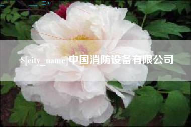 嵊州中国消防设备有限公司
