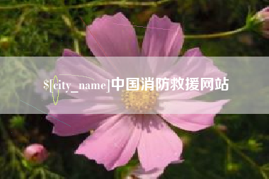 嵊州中国消防救援网站